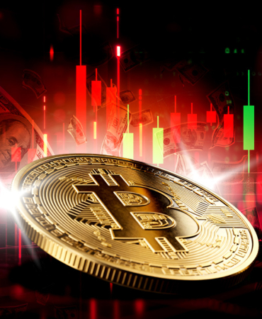 Bitcoin Price Falls: Key Support Levels and Market Dynamics