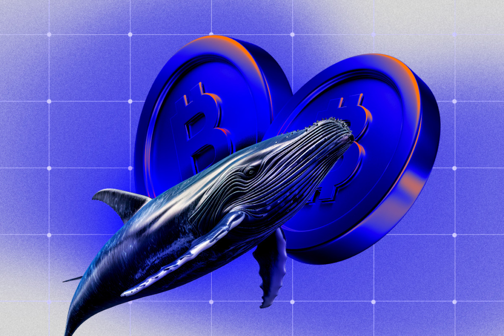 Whale Activity Signals Shifts in Small-Cap Altcoins