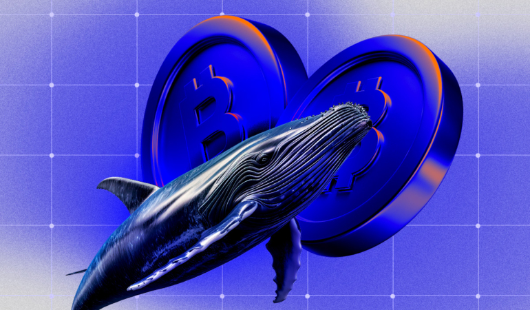 Whale Activity Signals Shifts in Small-Cap Altcoins