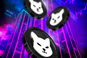 Shiba Inu Crashes 65% in 2025: Is SHIB’s Decline a Warning Sign or a Missed Opportunity?