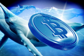 BlackRock Names Bitcoin ETF a Top 2025 Investment Theme