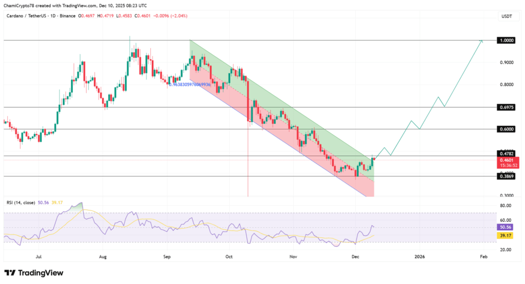 Cardano Price Action: Whale Activity Sparks Volatility but Buyers Absorb Pressure