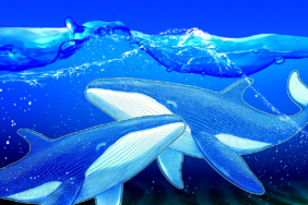 ASTER Faces Selling Pressure After Major Whale Offload