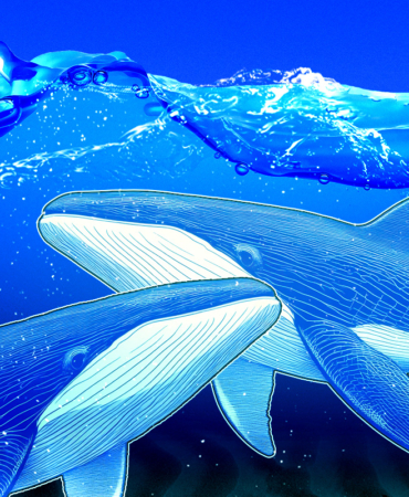 ASTER Faces Selling Pressure After Major Whale Offload