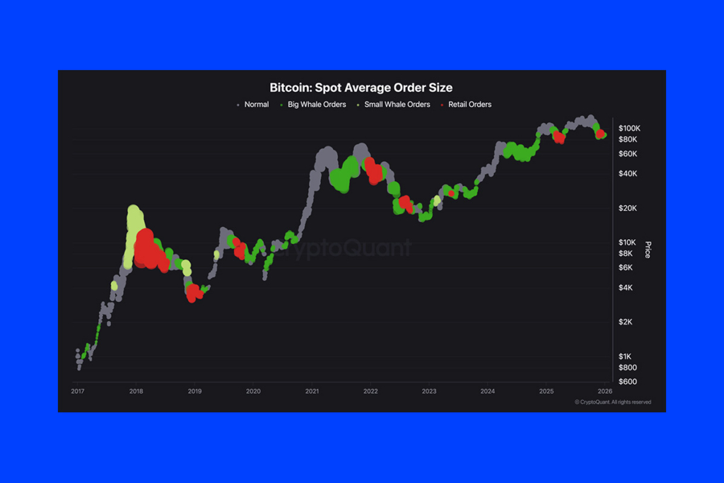 Bitcoin Spot Inflows Suggest Patience, Not Panic
