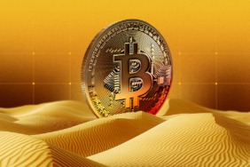 Bitcoin Whales Accumulate Aggressively Despite Rising Losses