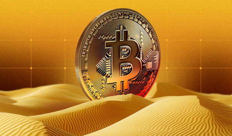 Bitcoin Whales Accumulate Aggressively Despite Rising Losses