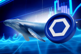 Chainlink Faces Breakdown Risk Amid Heavy Whale Selling