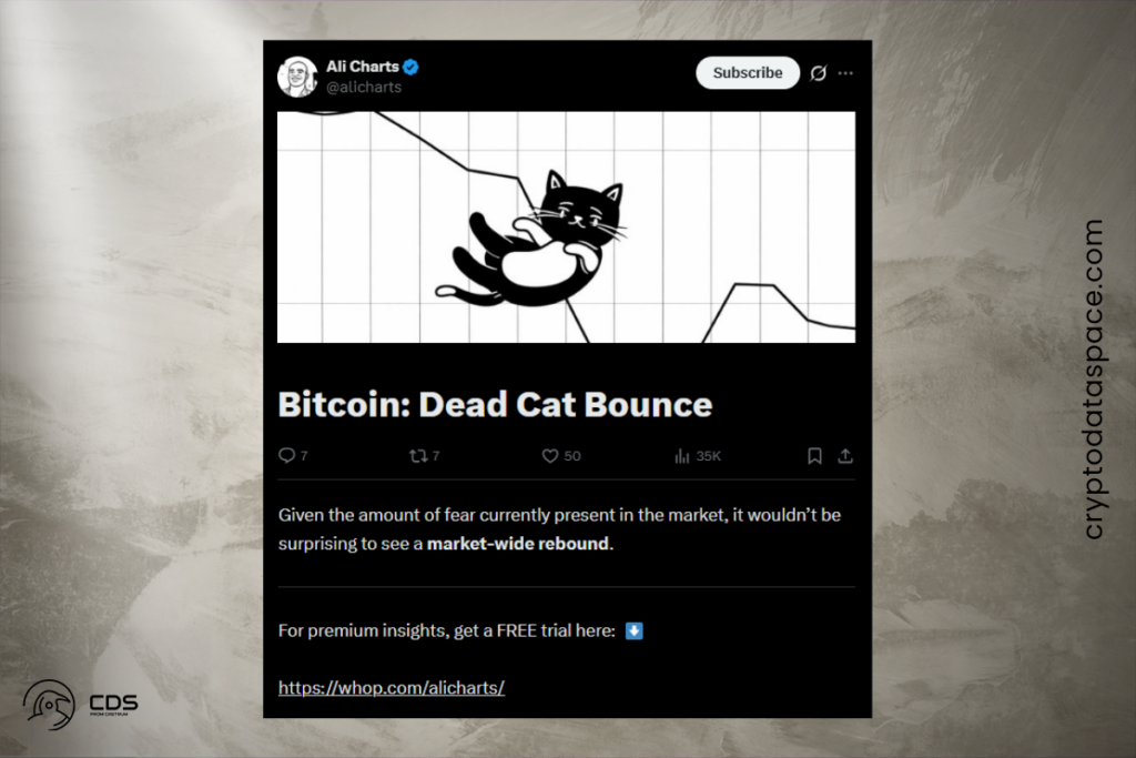Martinez: Capital Outflows Signal More Downside for Crypto