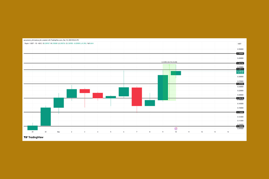 PIPPIN Meme Coin Madness: Impressive Spike Raises Eyebrows
