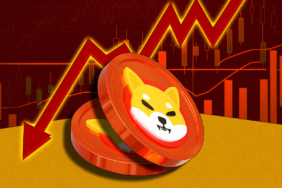SHIB Shows Structural Support Despite Ongoing Downtrend