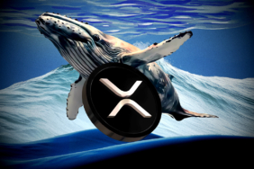 XRP Rejected Again Is a Major Breakdown Coming