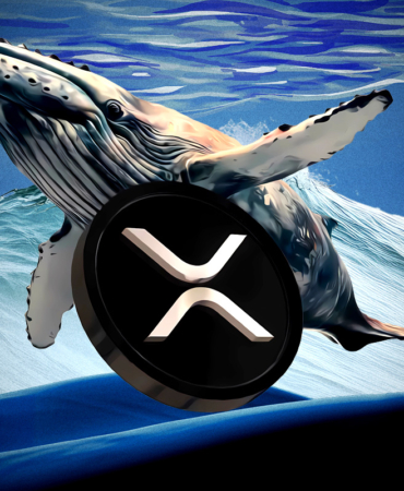 XRP Rejected Again Is a Major Breakdown Coming