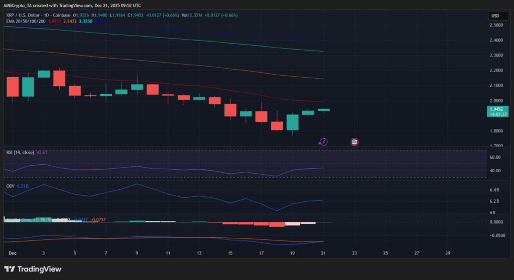XRP Market Sees Quiet Shift Driven by ETFs and Large Holders