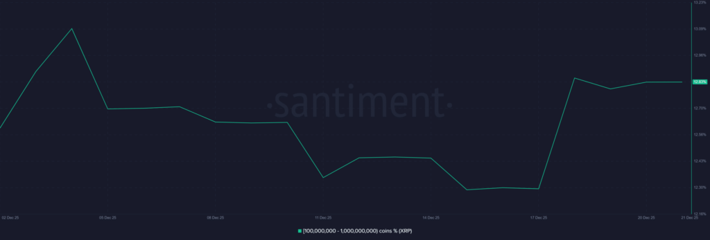 XRP Market Sees Quiet Shift Driven by ETFs and Large Holders