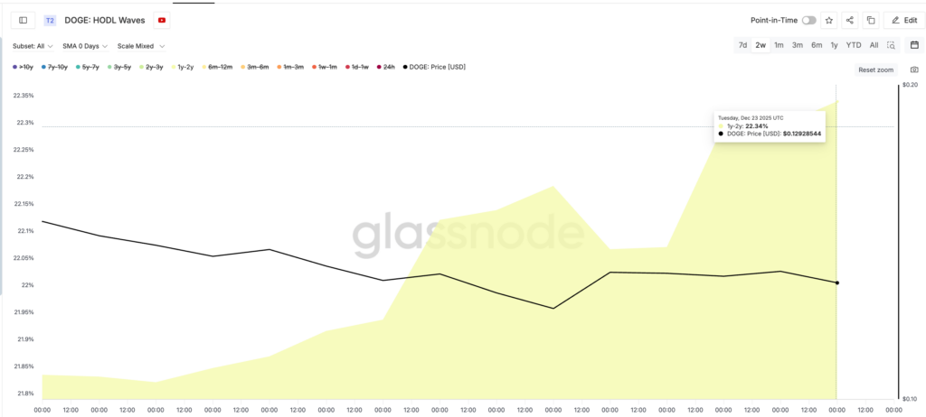 DOGE Price Under Pressure but On-Chain Signals Turn Cautious