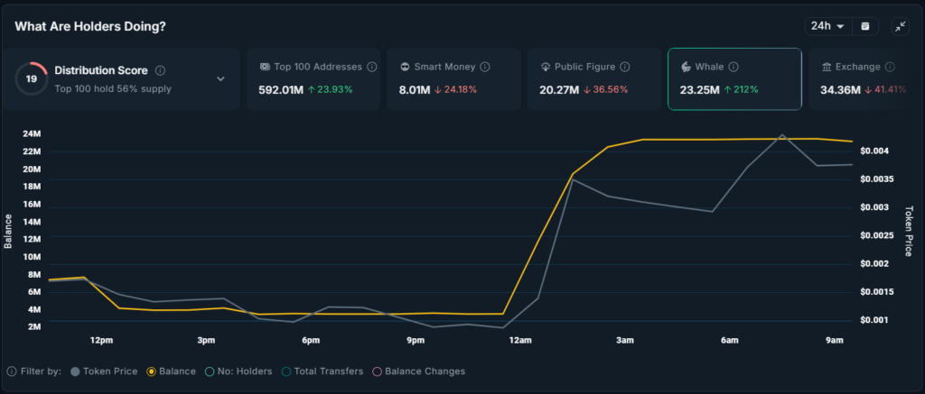 Whale Activity Signals Shifts in Small-Cap Altcoins