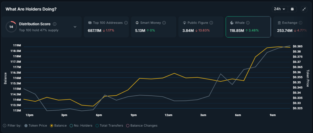 Whale Activity Signals Shifts in Small-Cap Altcoins