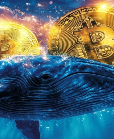 crypto-whale